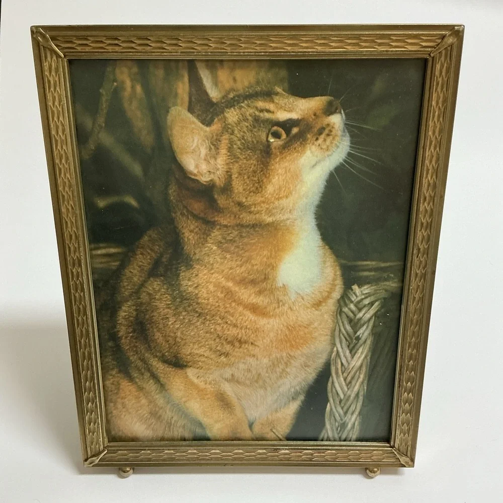 Vintage Gold Metal Picture Frame 8x10 Cat Print Standing Easel Ball Feet 60s MCM
